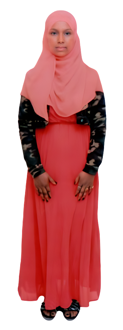 MISRA ABDULJEBAR ALIYI